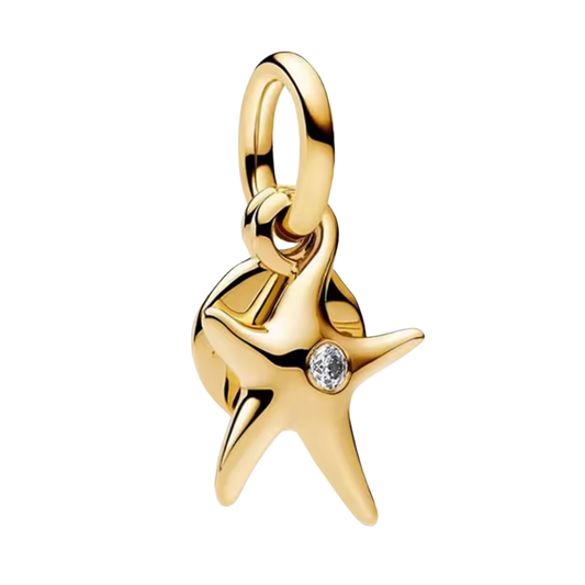 Charm 1